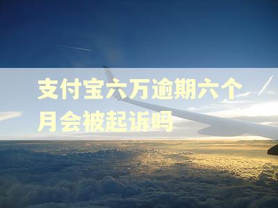 支付宝六万逾期六个月会被起诉吗