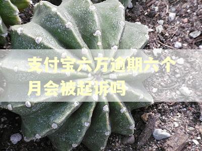 支付宝六万逾期六个月会被起诉吗
