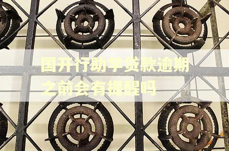 国开行助学贷款逾期之前会有提醒吗