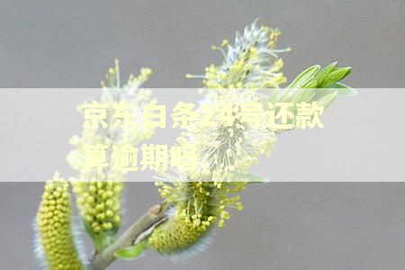 京东白条24号还款算逾期吗