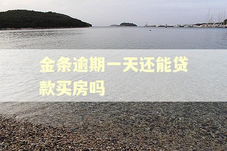 金条逾期一天还能贷款买房吗