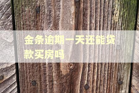 金条逾期一天还能贷款买房吗