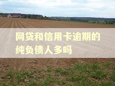 网贷和信用卡逾期的纯负债人多吗