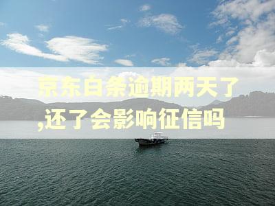 京东白条逾期两天了,还了会影响征信吗