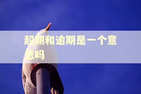 超期和逾期是一个意思吗