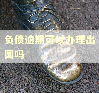 负债逾期可以办理出国吗
