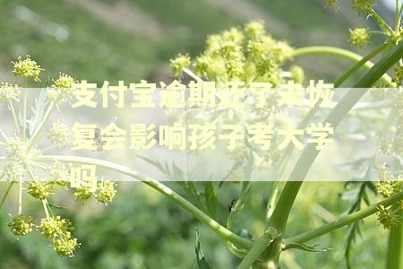支付宝逾期还了未恢复会影响孩子考大学吗