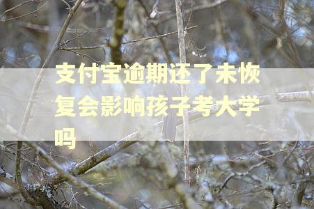 支付宝逾期还了未恢复会影响孩子考大学吗