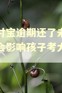 支付宝逾期还了未恢复会影响孩子考大学吗