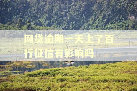 网贷逾期一天上了百行征信有影响吗 网贷逾期一天上了百行征信有影响吗