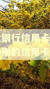 兴业银行信用卡逾期影响别的信用卡吗