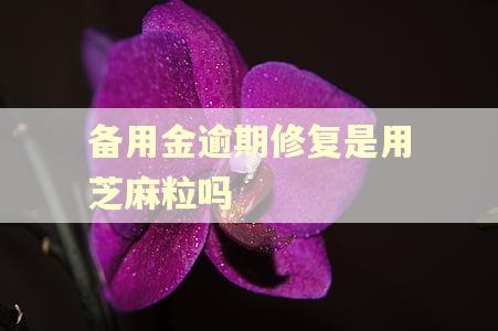 备用金逾期修复是用芝麻粒吗