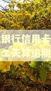 浦发银行信用卡还款日第二天算逾期吗
