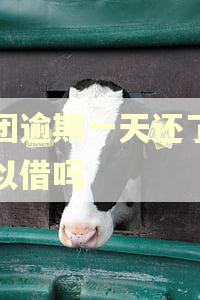美团逾期一天还了还可以借吗