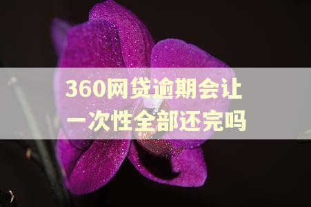 360网贷逾期会让一次性全部还完吗