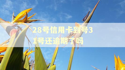 28号信用卡到号31号还逾期了吗