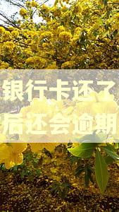 招商银行卡还了最低还款后还会逾期吗