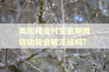 美团和支付宝逾期微信功能会被冻结吗?