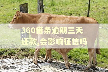 360借条逾期三天还款,会影响征信吗
