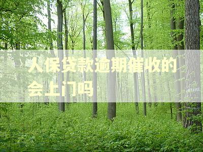 人保贷款逾期催收的会上门吗