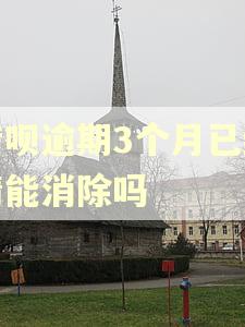 借呗逾期3个月已结清能消除吗