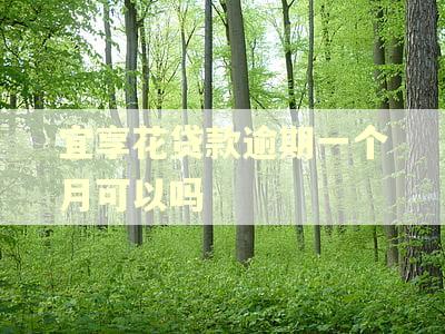 宜享花贷款逾期一个月可以吗