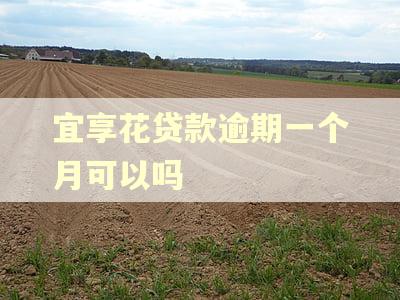 宜享花贷款逾期一个月可以吗