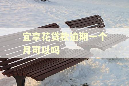 宜享花贷款逾期一个月可以吗