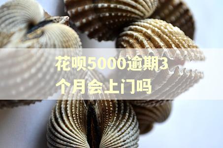 花呗5000逾期3个月会上门吗