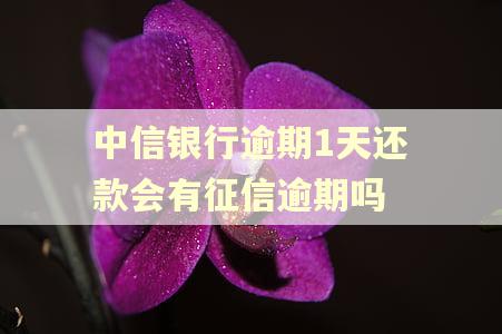 中信银行逾期1天还款会有征信逾期吗