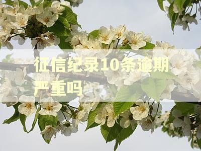 征信纪录10条逾期严重吗