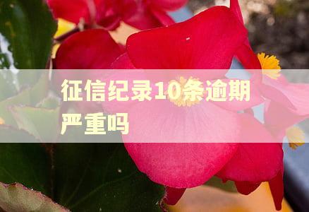 征信纪录10条逾期严重吗