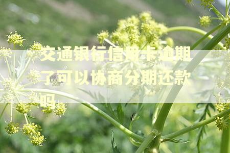 交通银行信用卡逾期了可以协商分期还款吗