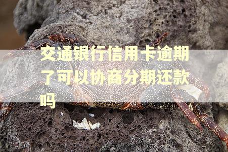交通银行信用卡逾期了可以协商分期还款吗