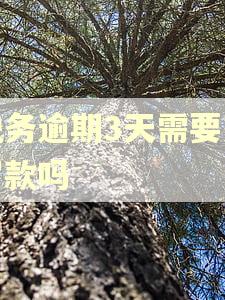 税务逾期3天需要交罚款吗