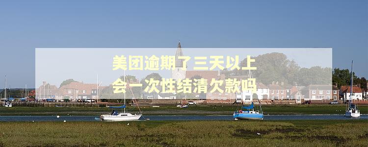 美团逾期了三天以上会一次性结清欠款吗