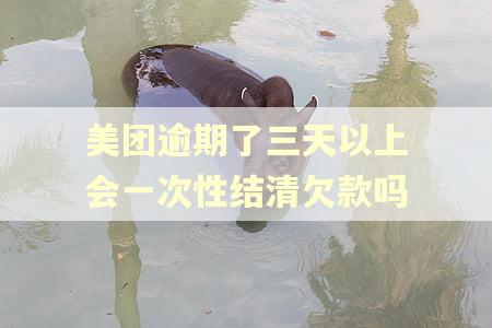 美团逾期了三天以上会一次性结清欠款吗