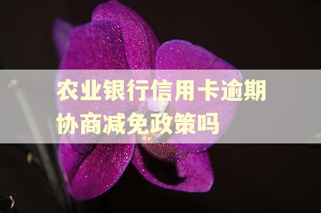 农业银行信用卡逾期协商减免政策吗