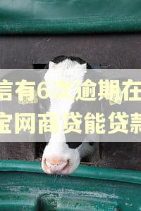 征信有6次逾期在支付宝网商贷能贷款吗 征信有6次逾期在支付宝网商贷能贷款吗