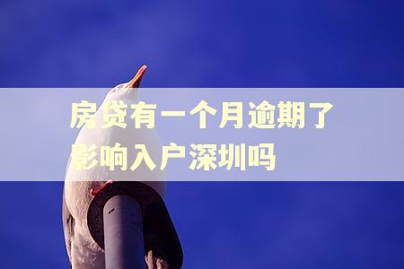 房贷有一个月逾期了影响入户深圳吗