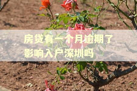 房贷有一个月逾期了影响入户深圳吗