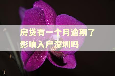 房贷有一个月逾期了影响入户深圳吗