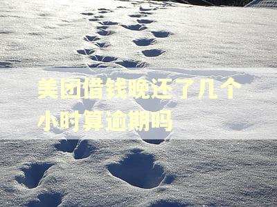 美团借钱晚还了几个小时算逾期吗