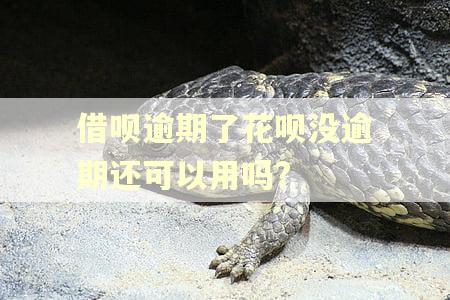 借呗逾期了花呗没逾期还可以用吗?