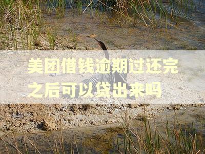 美团借钱逾期过还完之后可以贷出来吗