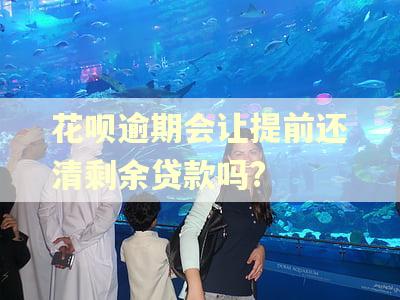 花呗逾期会让提前还清剩余贷款吗?