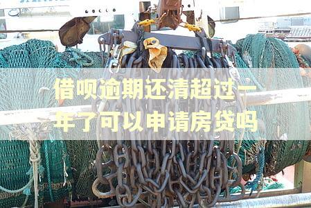 借呗逾期还清超过一年了可以申请房贷吗