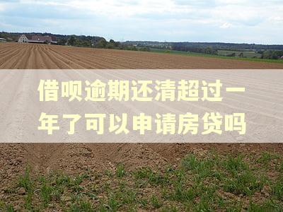 借呗逾期还清超过一年了可以申请房贷吗