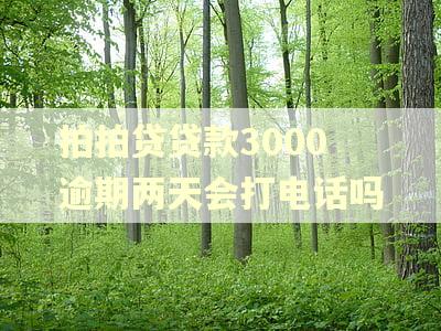 拍拍贷贷款3000逾期两天会打电话吗