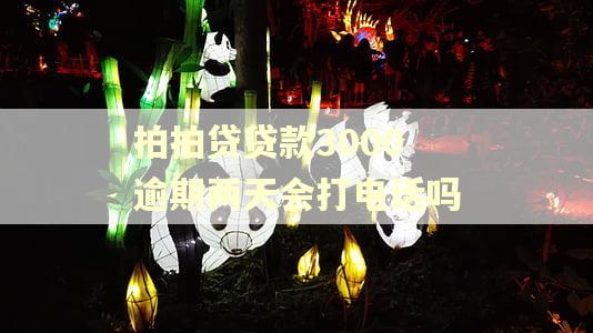 拍拍贷贷款3000逾期两天会打电话吗